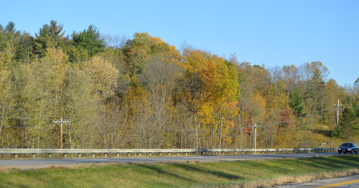 Fall foliage under a sunny blue sky along a highway in Ohio