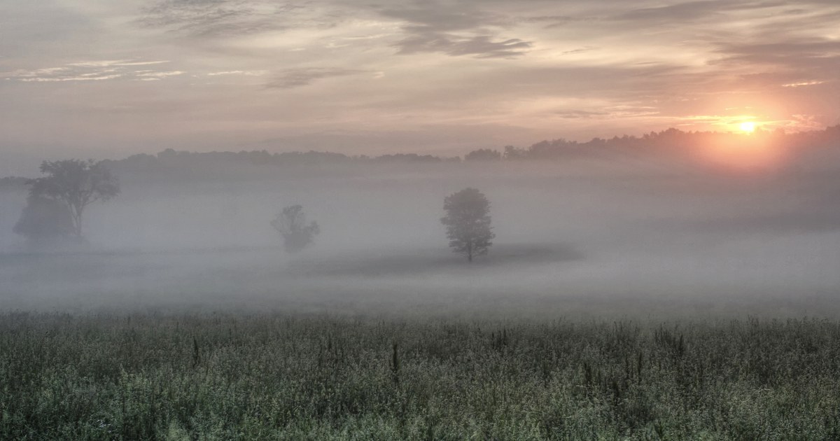 Foggy sunrise over a field in Licking County, Ohio, with dense fog hanging over the ground
