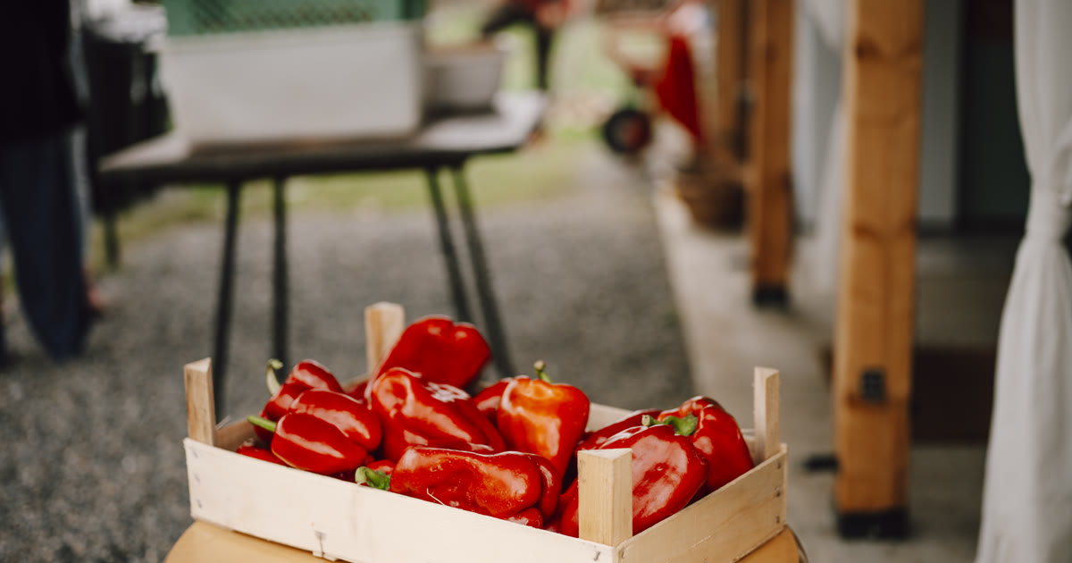 Fresh red peppers in a crate at a farm stand
