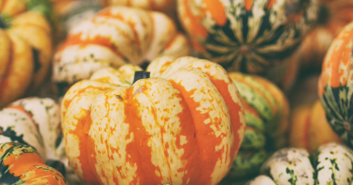 Pumpkins and ornamental gourds piled together in fall colors
