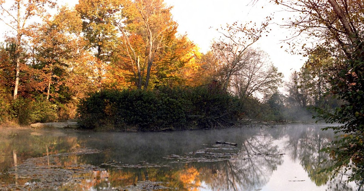 Morning fog over a creek lined with fall foliage in Ohio, giving way to sunshine on a dry Friday
