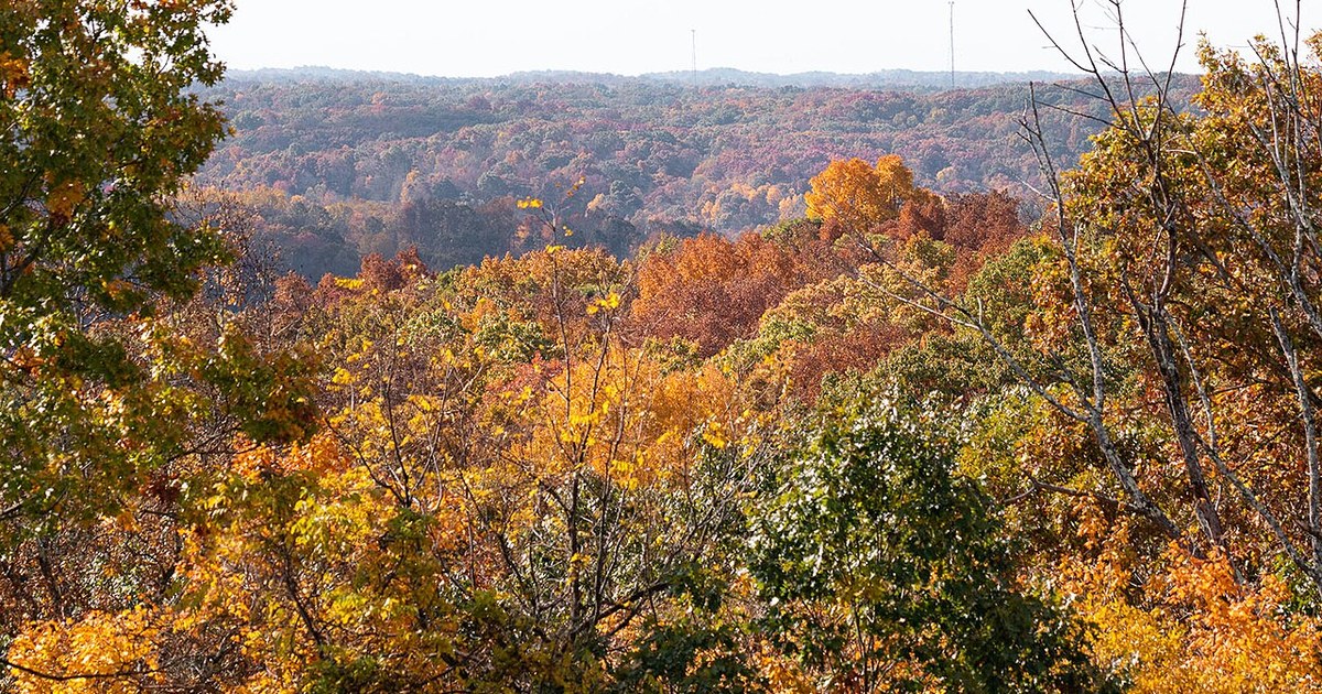 Fall foliage in gold and orange covers rolling hills in Wayne National Forest under bright sunshine in Ohio