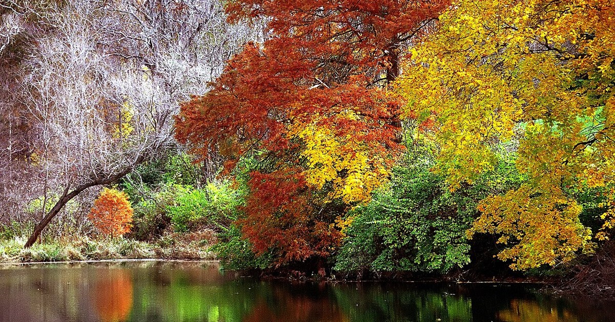 Fall foliage in red, orange and gold reflected in calm water in Ohio