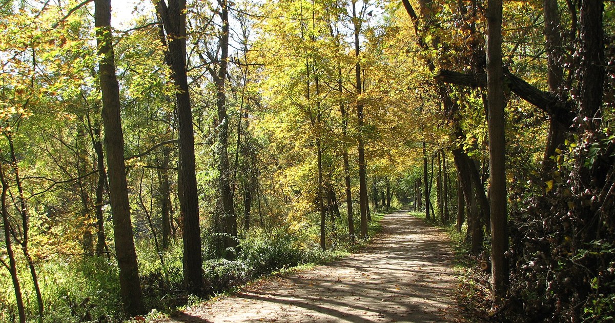 Sunshine on fall trees along the Ohio and Erie Canal Towpath Trail in October