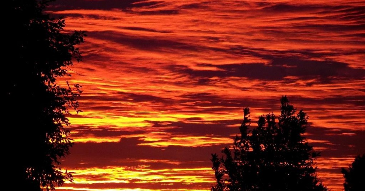 Autumn sunset sky over silhouetted trees on a clear Ohio evening