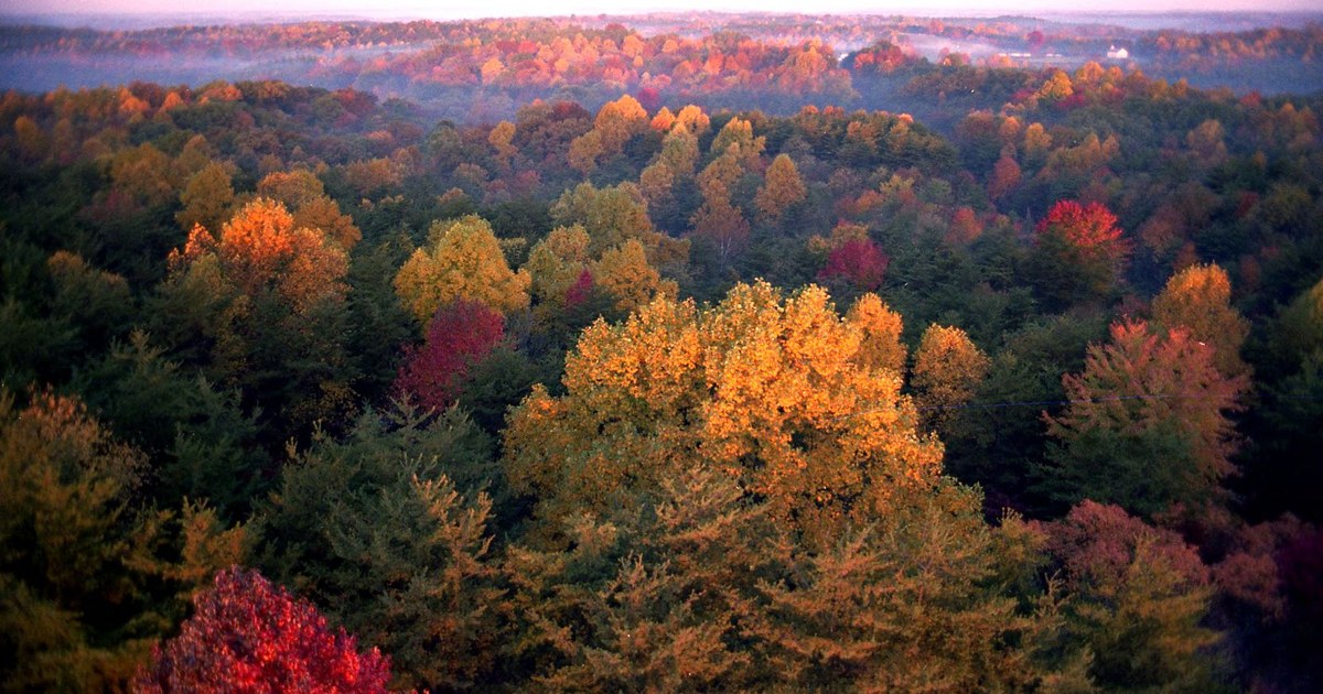 Fall foliage in Ohio under mild autumn skies