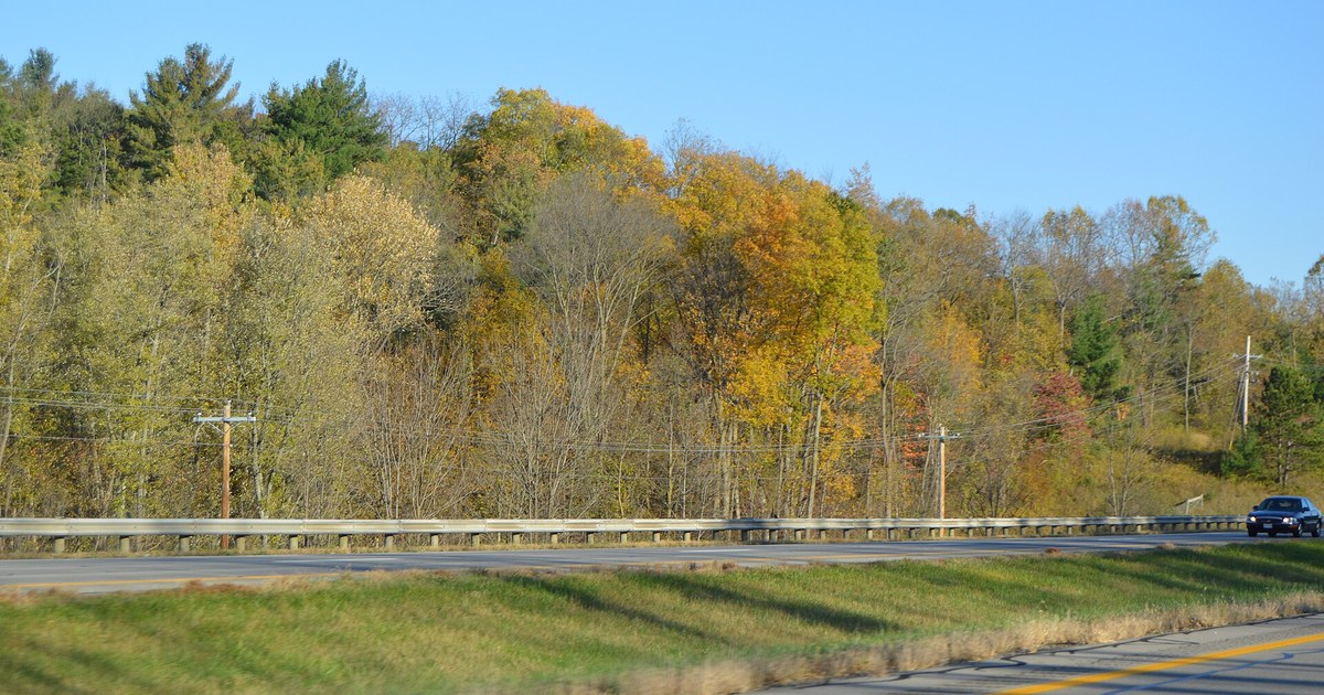 Fall foliage under a clear blue sky along a highway in Mifflin Township, Ohio