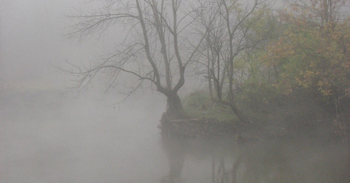 Fog settles over still water and bare autumn trees in Ohio