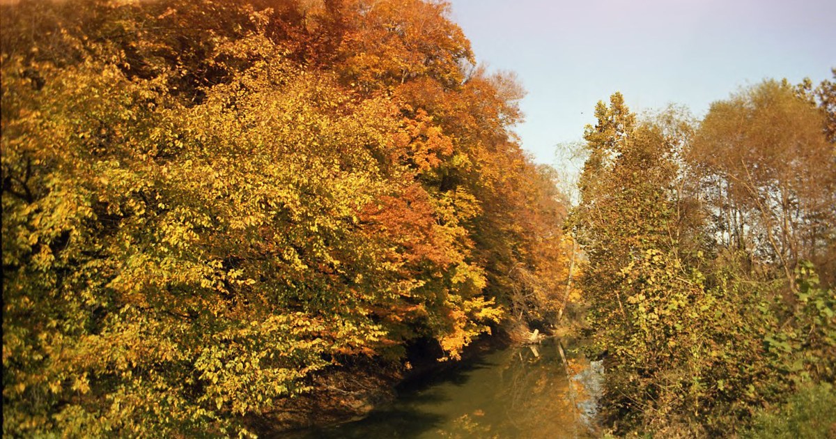 Fall foliage in bright sunshine along a river in Hocking Hills State Park, Ohio