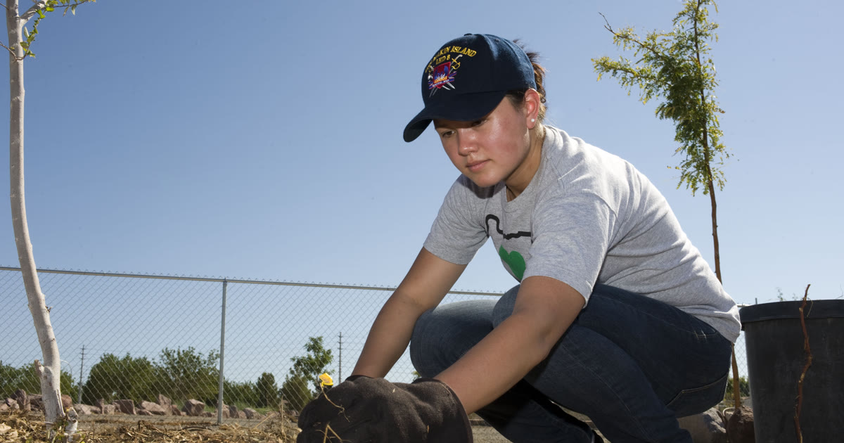 Volunteer planting a young tree during a community tree-planting day