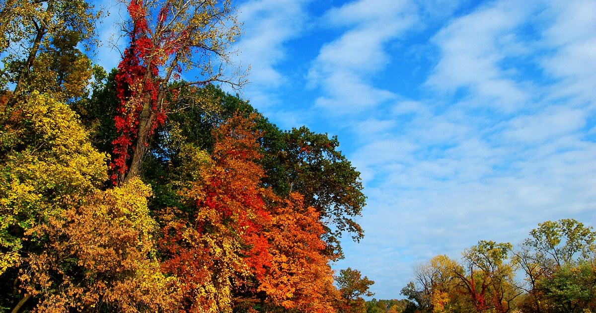 Fall foliage along the Black River in Lorain, Ohio, under a blue sky