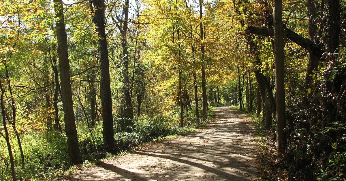 Sunshine through fall trees on the Ohio and Erie Canal Towpath Trail in October