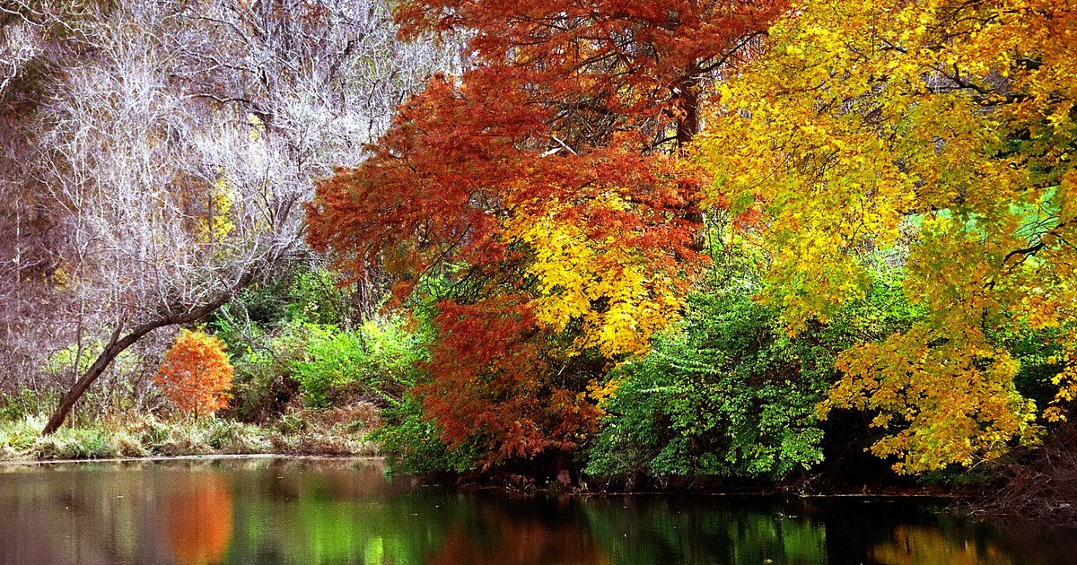 Fall color reflected in a pond at Spring Grove in Cincinnati on a sunny Ohio afternoon
