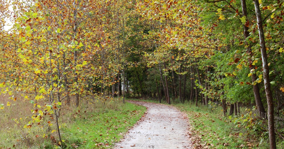 Fall foliage along the Towpath Trail in Ohio under cloudy autumn skies