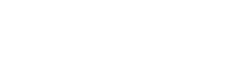 NewsForce247
